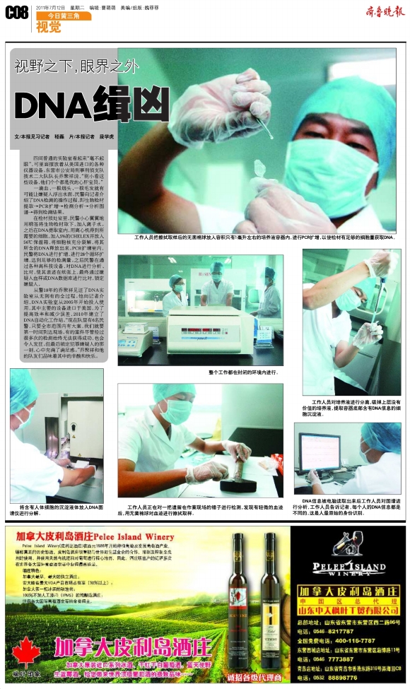 今日黄三角·视觉