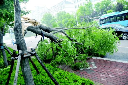 狂风暴雨后,蓝天白云现